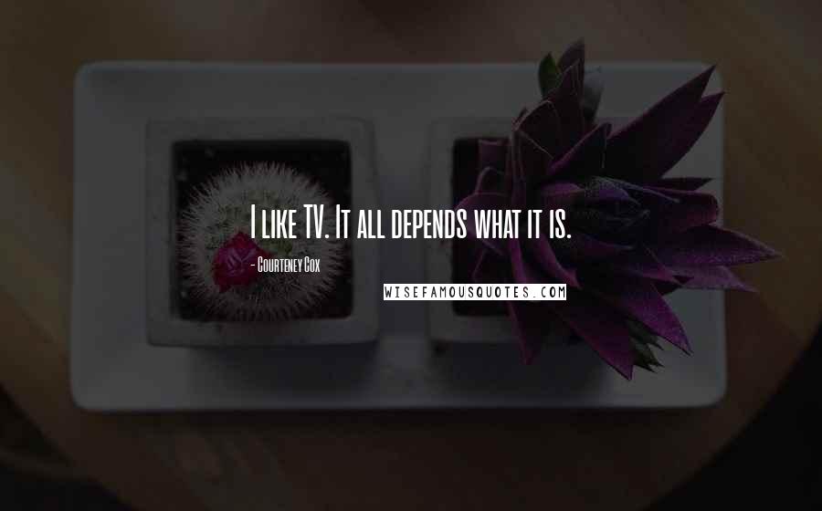 Courteney Cox Quotes: I like TV. It all depends what it is.