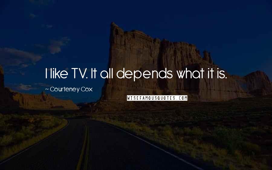 Courteney Cox Quotes: I like TV. It all depends what it is.