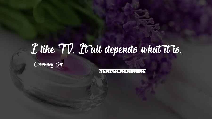 Courteney Cox Quotes: I like TV. It all depends what it is.