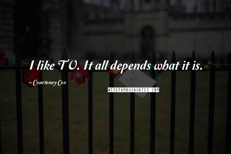 Courteney Cox Quotes: I like TV. It all depends what it is.