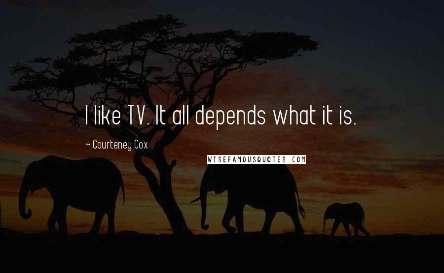 Courteney Cox Quotes: I like TV. It all depends what it is.