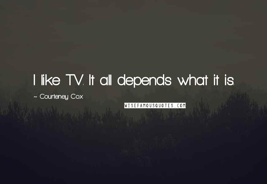 Courteney Cox Quotes: I like TV. It all depends what it is.