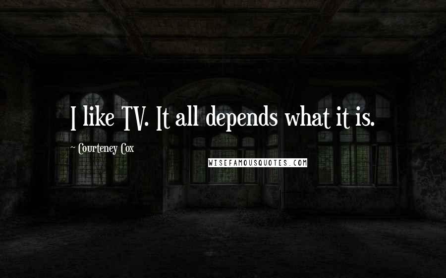 Courteney Cox Quotes: I like TV. It all depends what it is.