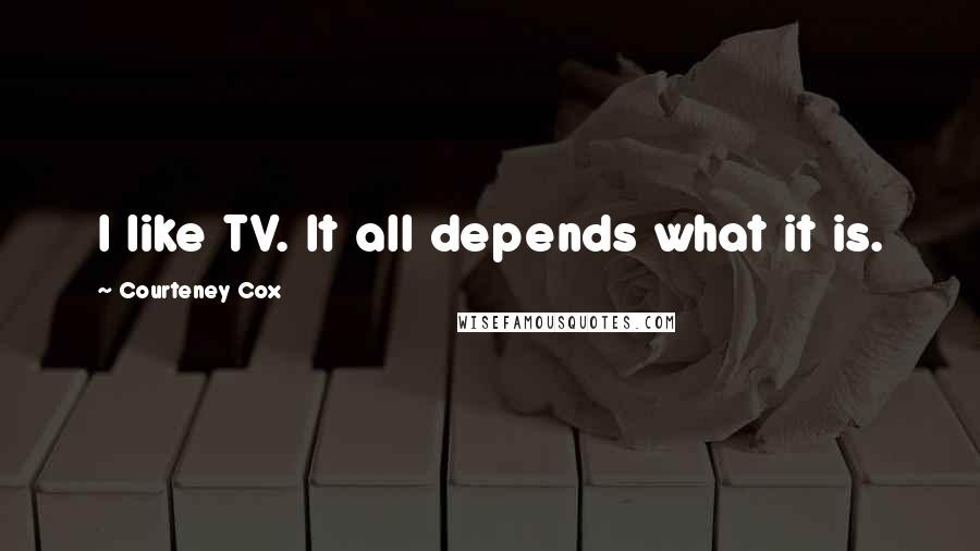 Courteney Cox Quotes: I like TV. It all depends what it is.