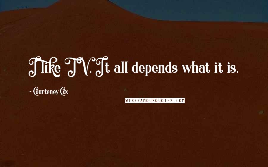 Courteney Cox Quotes: I like TV. It all depends what it is.