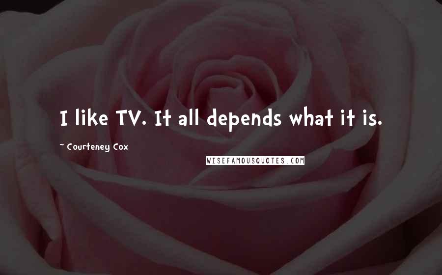 Courteney Cox Quotes: I like TV. It all depends what it is.