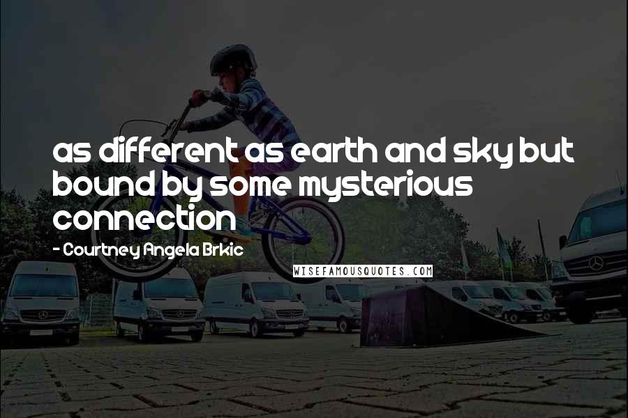 Courtney Angela Brkic Quotes: as different as earth and sky but bound by some mysterious connection