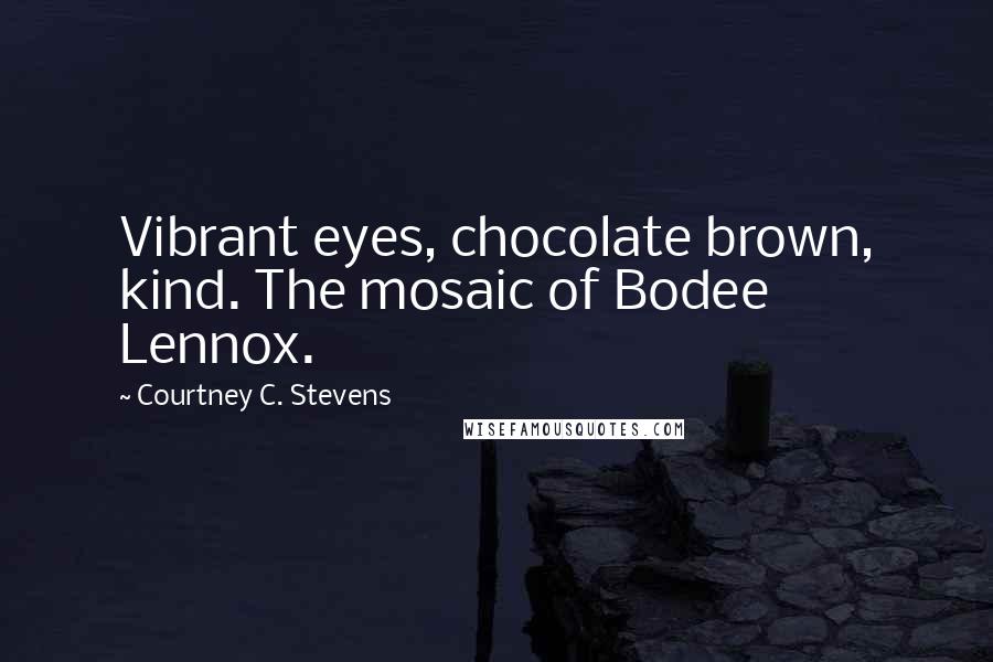 Courtney C. Stevens Quotes: Vibrant eyes, chocolate brown, kind. The mosaic of Bodee Lennox.