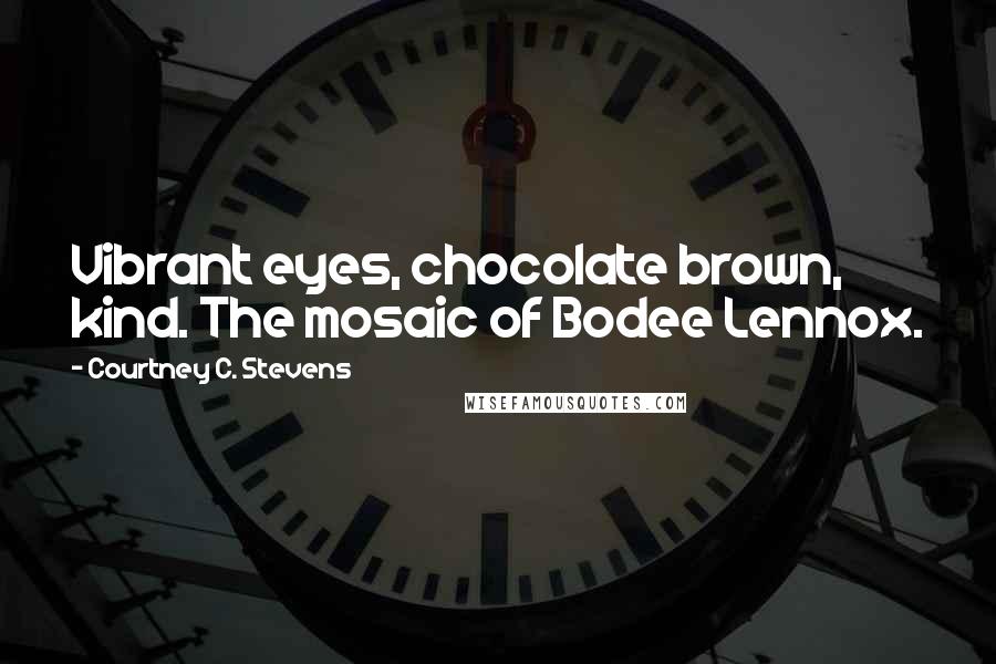 Courtney C. Stevens Quotes: Vibrant eyes, chocolate brown, kind. The mosaic of Bodee Lennox.