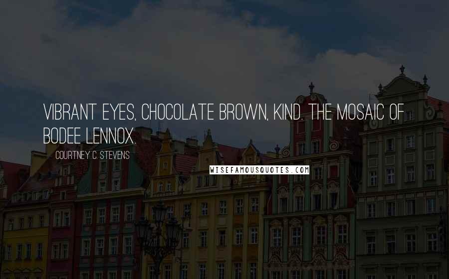 Courtney C. Stevens Quotes: Vibrant eyes, chocolate brown, kind. The mosaic of Bodee Lennox.