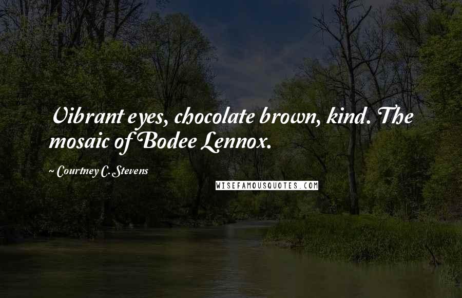 Courtney C. Stevens Quotes: Vibrant eyes, chocolate brown, kind. The mosaic of Bodee Lennox.