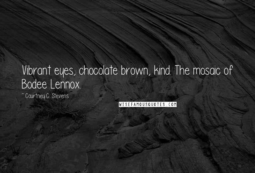 Courtney C. Stevens Quotes: Vibrant eyes, chocolate brown, kind. The mosaic of Bodee Lennox.