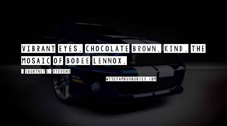 Courtney C. Stevens Quotes: Vibrant eyes, chocolate brown, kind. The mosaic of Bodee Lennox.