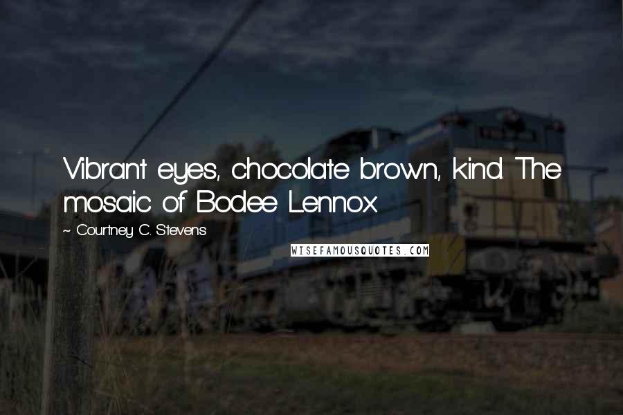 Courtney C. Stevens Quotes: Vibrant eyes, chocolate brown, kind. The mosaic of Bodee Lennox.