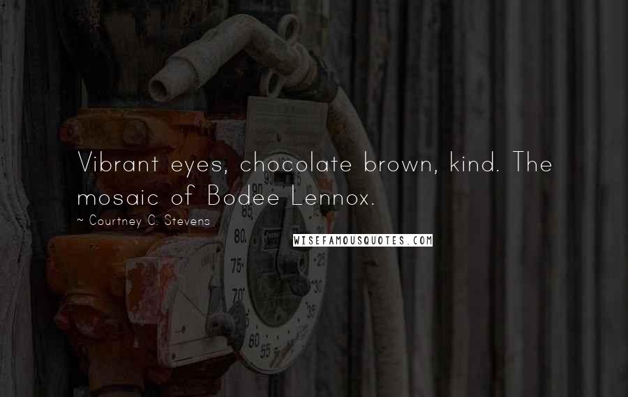 Courtney C. Stevens Quotes: Vibrant eyes, chocolate brown, kind. The mosaic of Bodee Lennox.