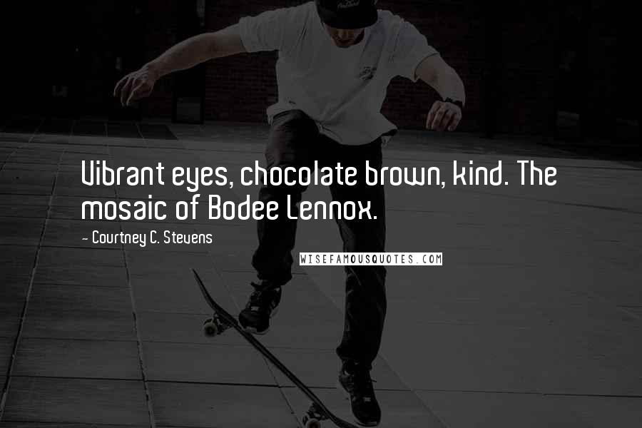 Courtney C. Stevens Quotes: Vibrant eyes, chocolate brown, kind. The mosaic of Bodee Lennox.