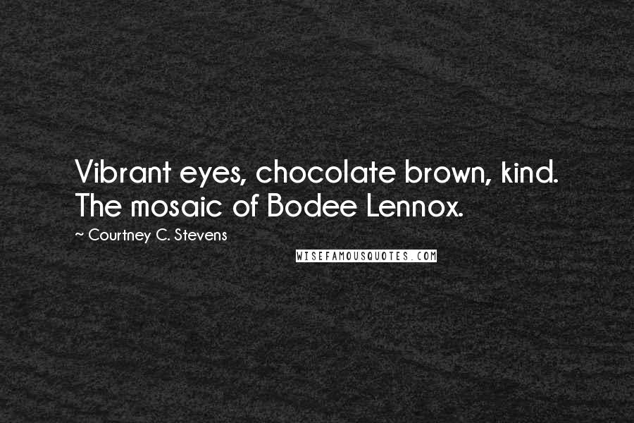 Courtney C. Stevens Quotes: Vibrant eyes, chocolate brown, kind. The mosaic of Bodee Lennox.