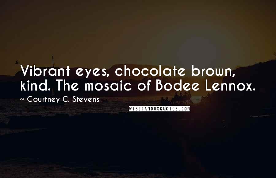 Courtney C. Stevens Quotes: Vibrant eyes, chocolate brown, kind. The mosaic of Bodee Lennox.