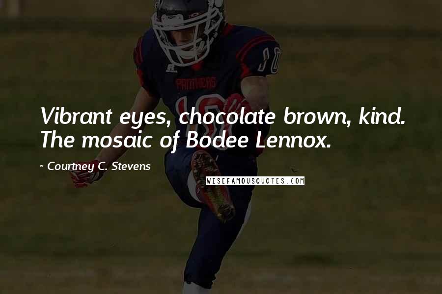 Courtney C. Stevens Quotes: Vibrant eyes, chocolate brown, kind. The mosaic of Bodee Lennox.