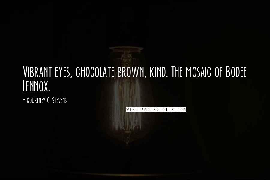 Courtney C. Stevens Quotes: Vibrant eyes, chocolate brown, kind. The mosaic of Bodee Lennox.