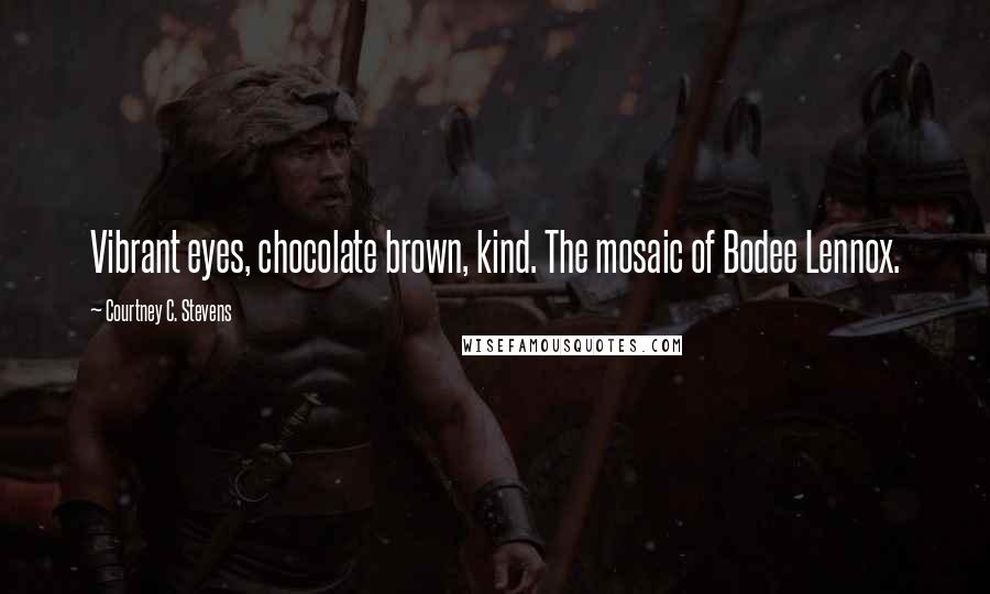 Courtney C. Stevens Quotes: Vibrant eyes, chocolate brown, kind. The mosaic of Bodee Lennox.