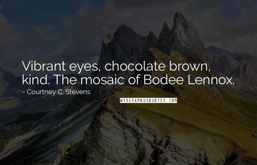 Courtney C. Stevens Quotes: Vibrant eyes, chocolate brown, kind. The mosaic of Bodee Lennox.