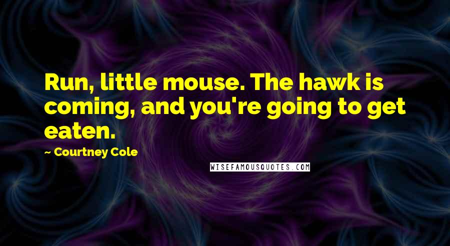 Courtney Cole Quotes: Run, little mouse. The hawk is coming, and you're going to get eaten.