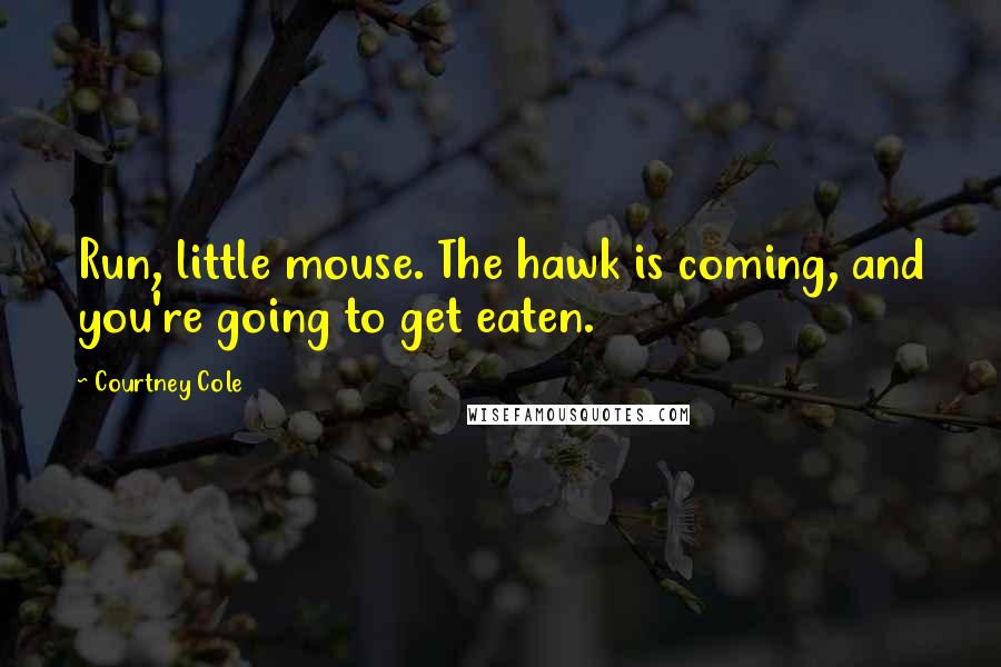 Courtney Cole Quotes: Run, little mouse. The hawk is coming, and you're going to get eaten.