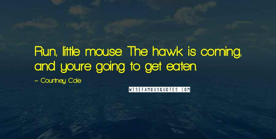 Courtney Cole Quotes: Run, little mouse. The hawk is coming, and you're going to get eaten.