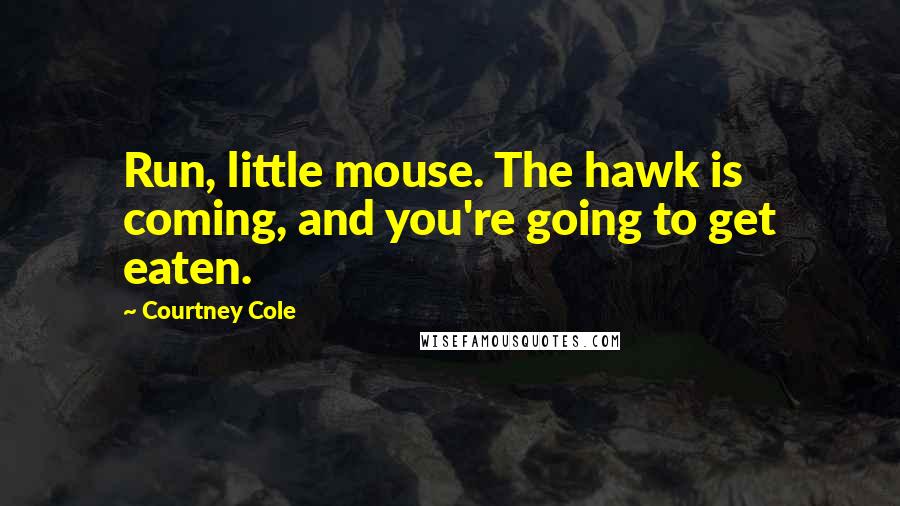 Courtney Cole Quotes: Run, little mouse. The hawk is coming, and you're going to get eaten.