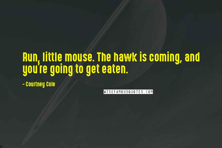 Courtney Cole Quotes: Run, little mouse. The hawk is coming, and you're going to get eaten.