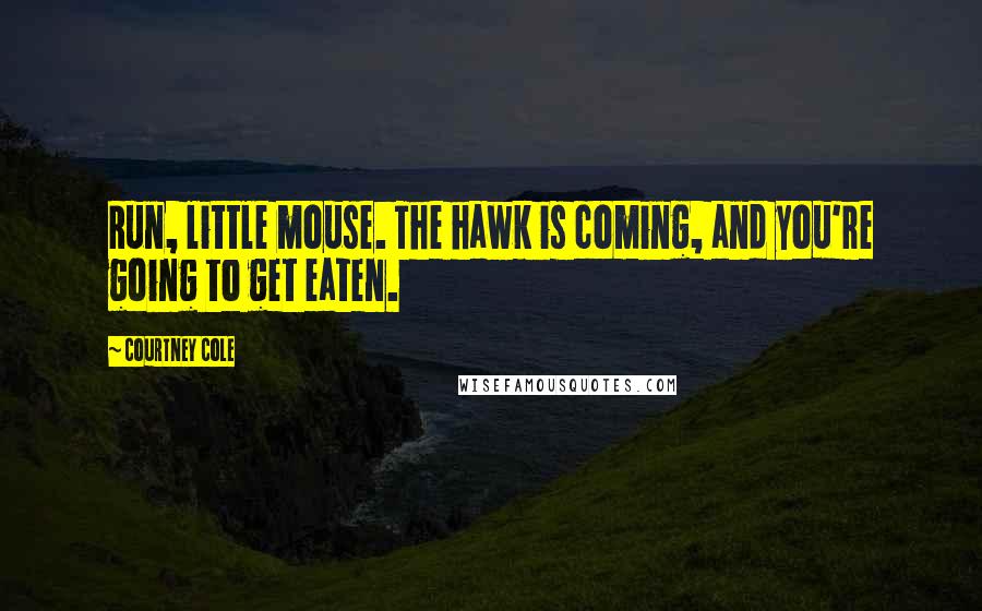 Courtney Cole Quotes: Run, little mouse. The hawk is coming, and you're going to get eaten.