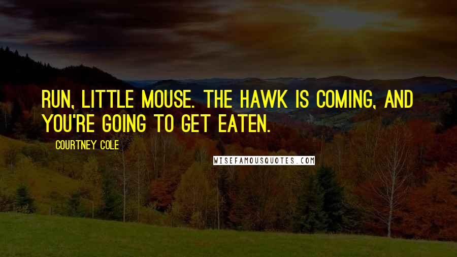 Courtney Cole Quotes: Run, little mouse. The hawk is coming, and you're going to get eaten.