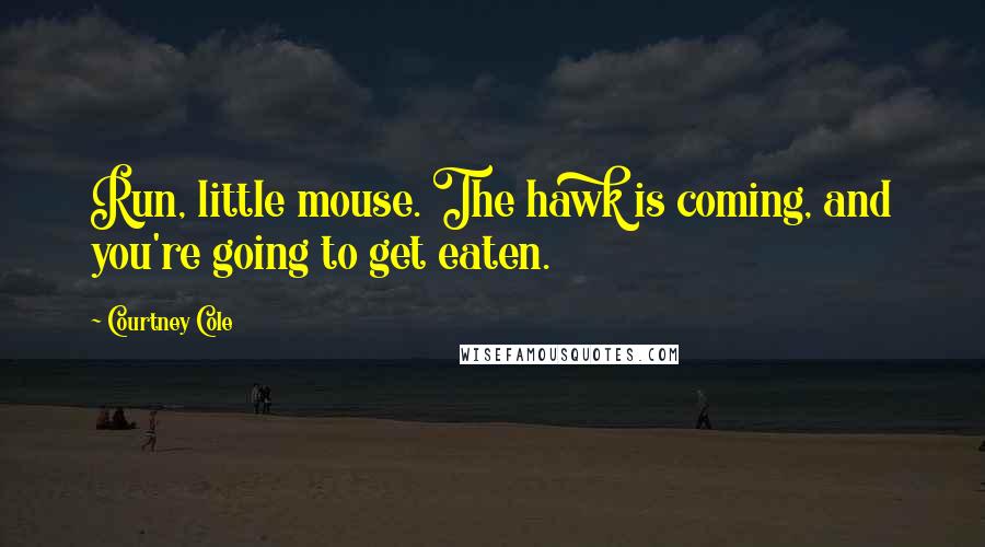 Courtney Cole Quotes: Run, little mouse. The hawk is coming, and you're going to get eaten.