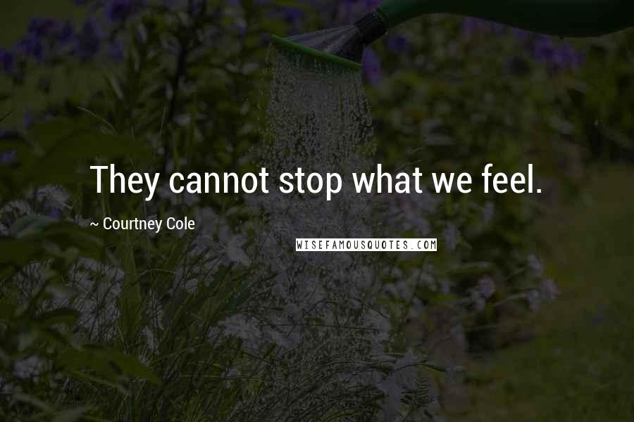 Courtney Cole Quotes: They cannot stop what we feel.