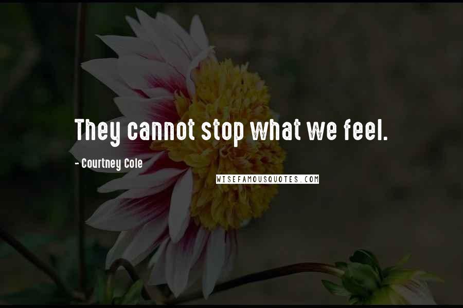 Courtney Cole Quotes: They cannot stop what we feel.