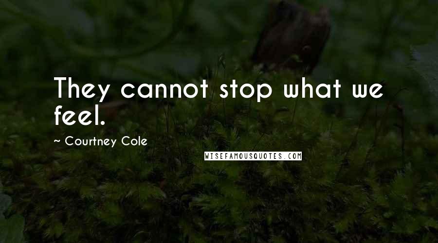 Courtney Cole Quotes: They cannot stop what we feel.