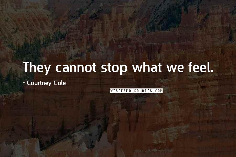 Courtney Cole Quotes: They cannot stop what we feel.