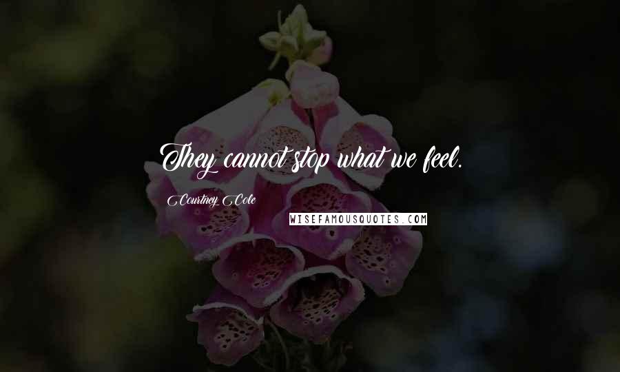 Courtney Cole Quotes: They cannot stop what we feel.