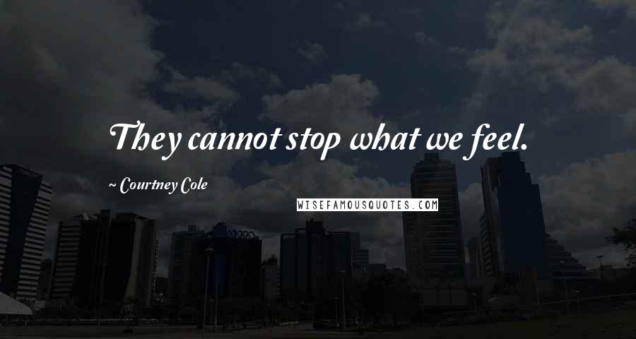 Courtney Cole Quotes: They cannot stop what we feel.