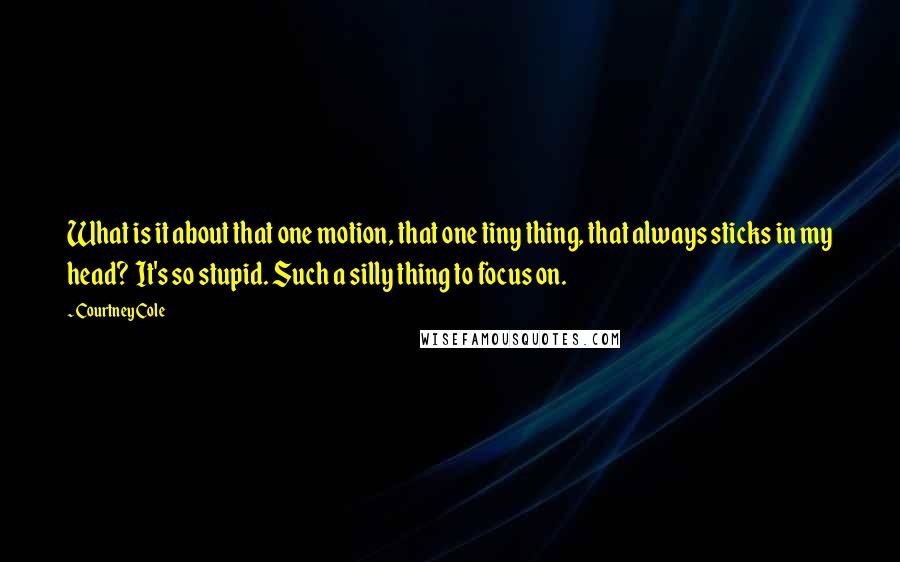 Courtney Cole Quotes: What is it about that one motion, that one tiny thing, that always sticks in my head?  It's so stupid. Such a silly thing to focus on.