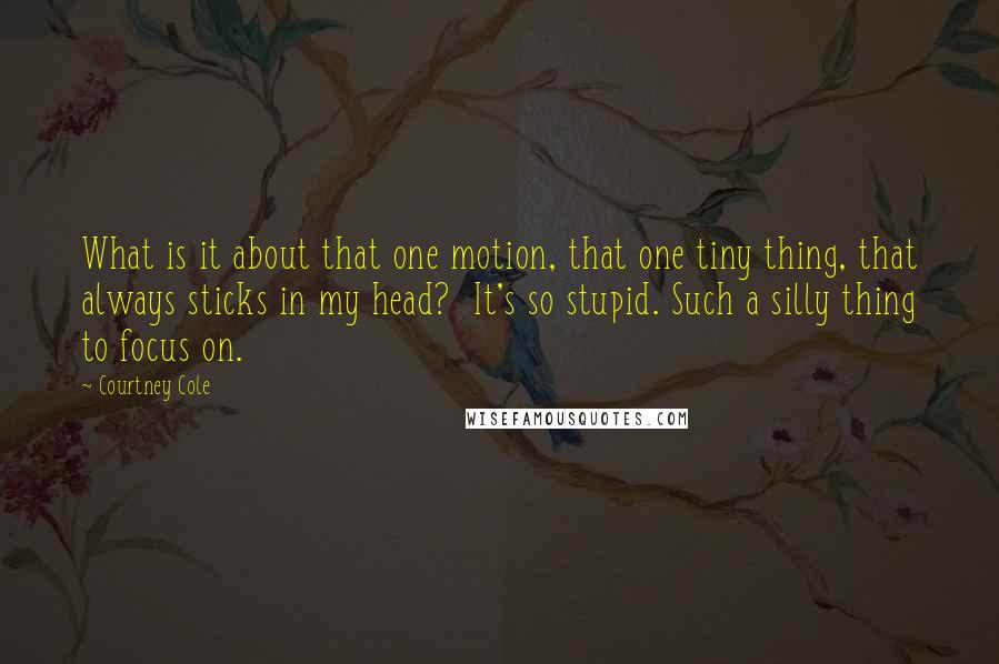 Courtney Cole Quotes: What is it about that one motion, that one tiny thing, that always sticks in my head?  It's so stupid. Such a silly thing to focus on.