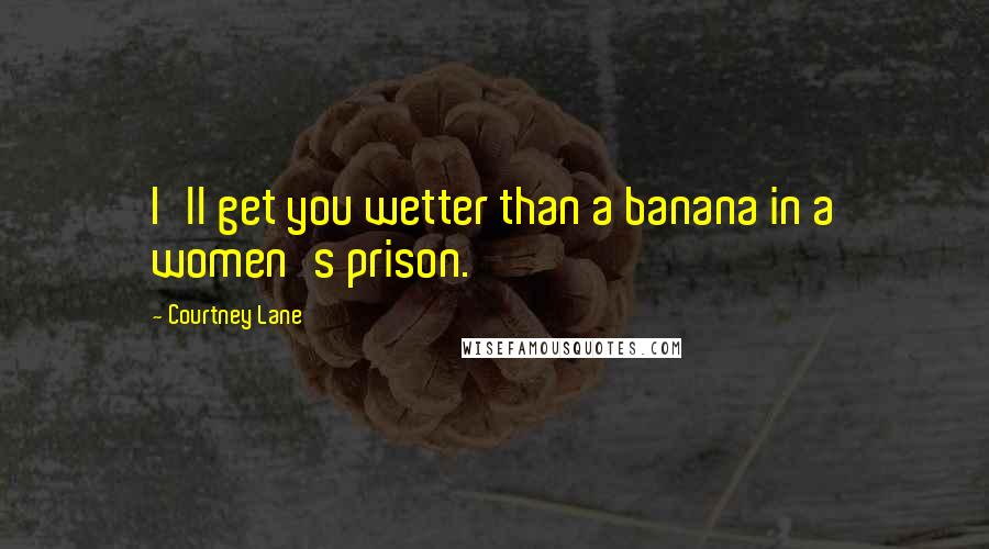 Courtney Lane Quotes: I'll get you wetter than a banana in a women's prison.