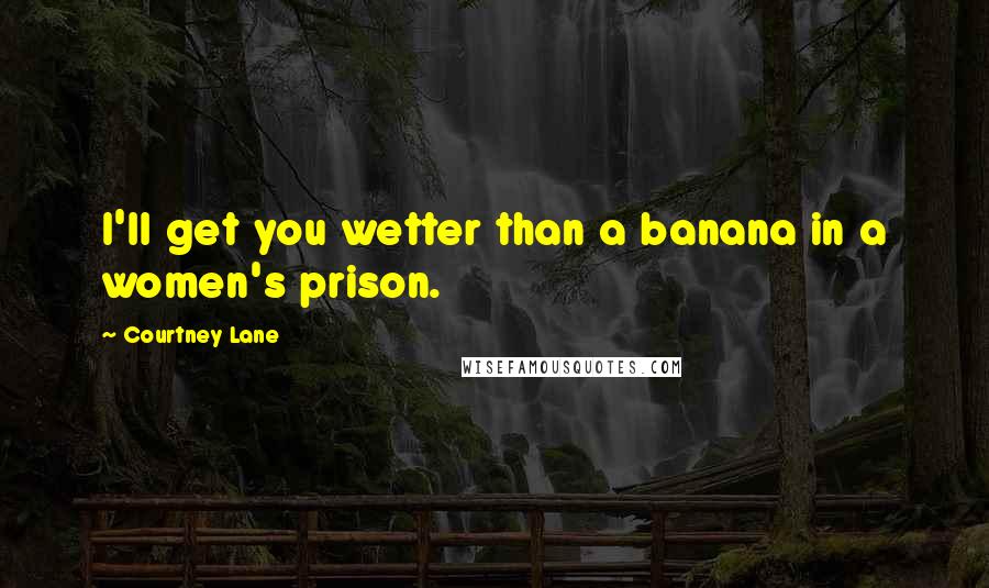 Courtney Lane Quotes: I'll get you wetter than a banana in a women's prison.