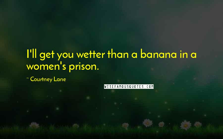 Courtney Lane Quotes: I'll get you wetter than a banana in a women's prison.