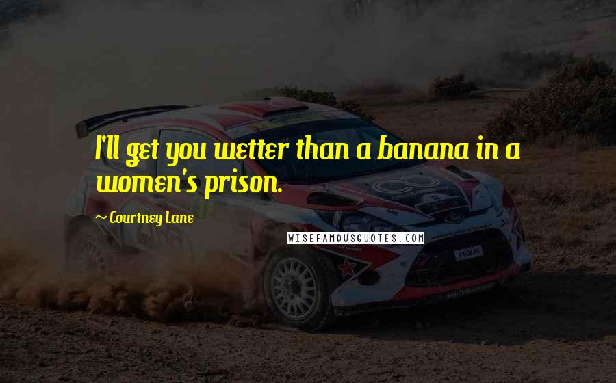 Courtney Lane Quotes: I'll get you wetter than a banana in a women's prison.