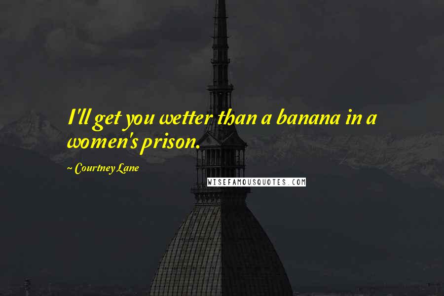 Courtney Lane Quotes: I'll get you wetter than a banana in a women's prison.