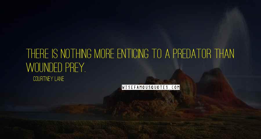 Courtney Lane Quotes: there is nothing more enticing to a predator than wounded prey.