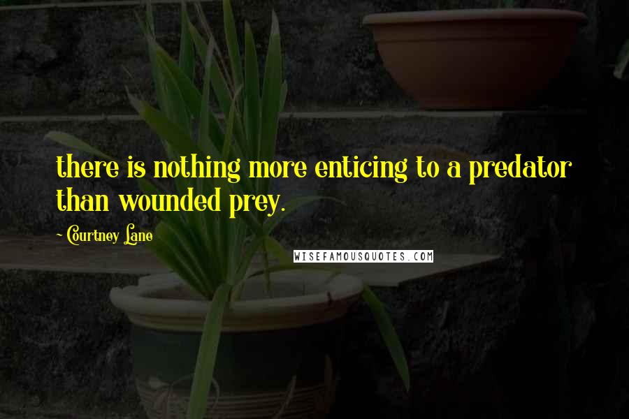 Courtney Lane Quotes: there is nothing more enticing to a predator than wounded prey.