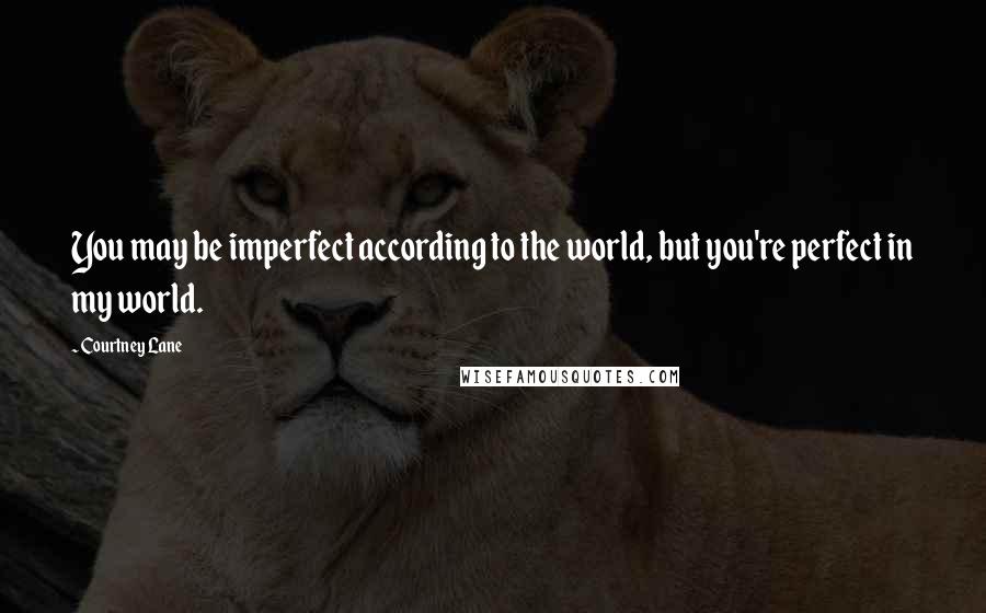 Courtney Lane Quotes: You may be imperfect according to the world, but you're perfect in my world.